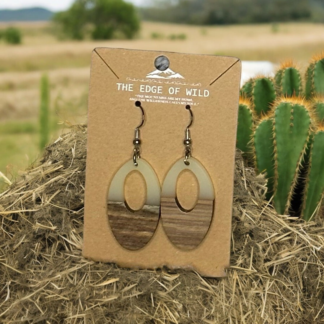 Oval Resin Earring